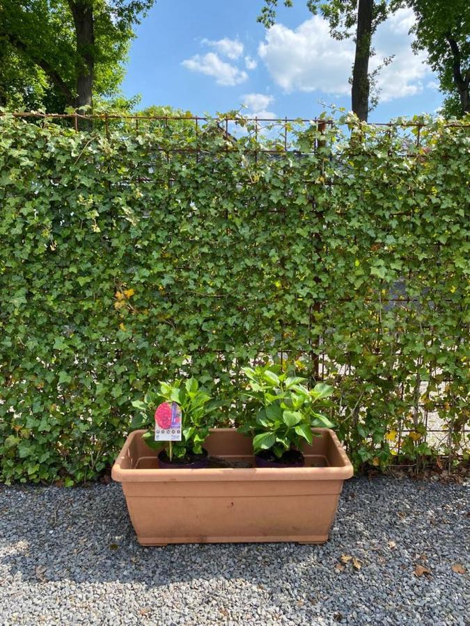 Chalet Valkenbosch Groenvink 85 オーイステルウェイク エクステリア 写真