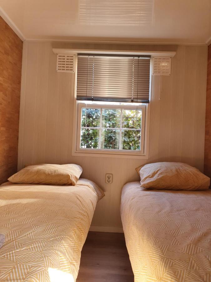 Chalet Valkenbosch Groenvink 85 オーイステルウェイク エクステリア 写真
